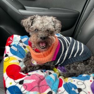 Meet your Posher, Amber